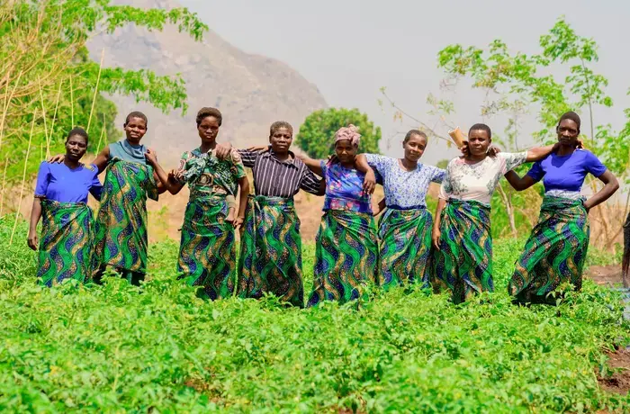 Eight women farmers stand proudly in their tomato field